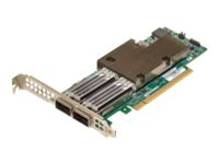 Broadcom NetXtreme E-Series P2100G - Adaptateur réseau - PCIe 4.0 x16 profil bas - 100 Gigabit QSFP56 x 2 BCM957508-P2100G