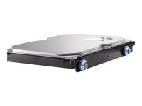 HP - Disque dur - 1 To - SATA 6Gb/s - 7200 tours/min - pour EliteDesk 700 G1, 800 G1; ProDesk 400 G3, 490 G3, 600 G1; ProOne 600 G1 QK555AA