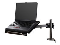 Neomounts NOTEBOOK-D100 - Kit de montage - pleine action - pour ordinateur portable - noir - Taille d'écran : 10"-22" - montrable sur bureau NOTEBOOK-D100