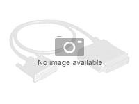 Lenovo M.2 Cable Kit - Kit de câbles de stockage - pour ThinkSystem ST650 V2 7Z74, 7Z75 4Z57A16099